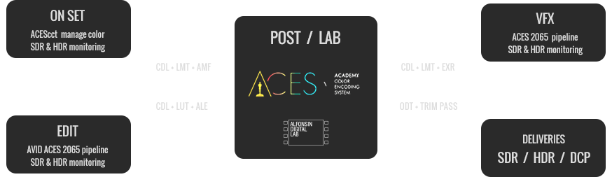 Workflow ACES de Alfonsín Digital Lab